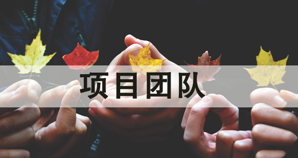 项目团队